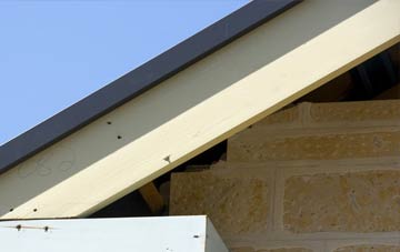 East Sheen fascia repairs