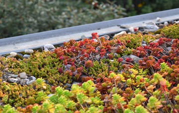the cost of East Sheen green roof installation