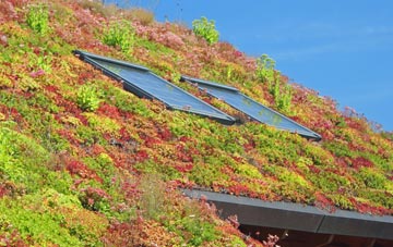 East Sheen living roof systems