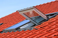 East Sheen roof window